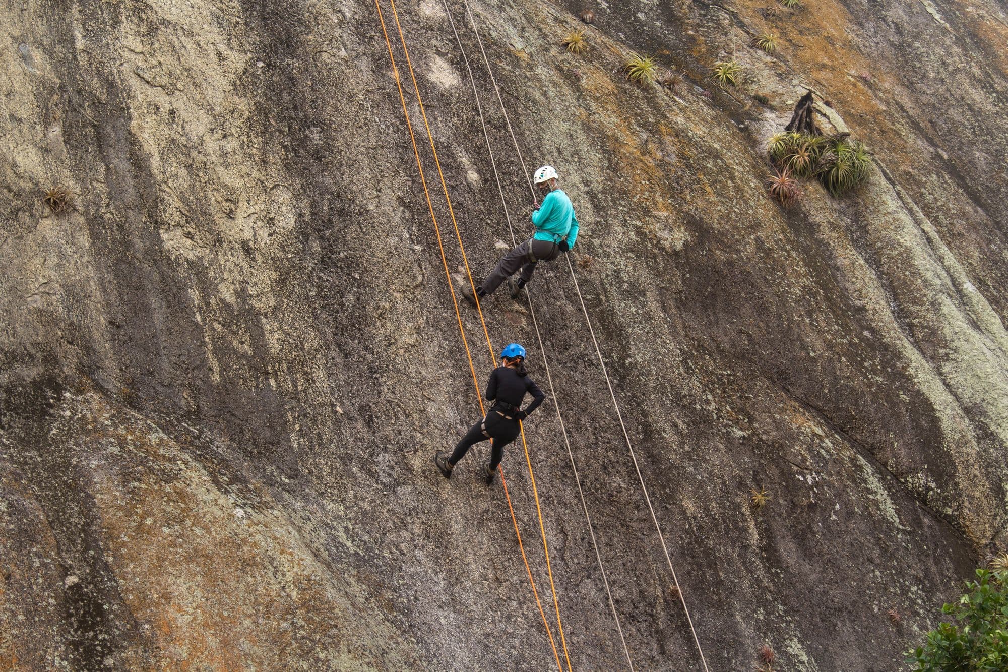 Two climbers on ropes on a steep rock face