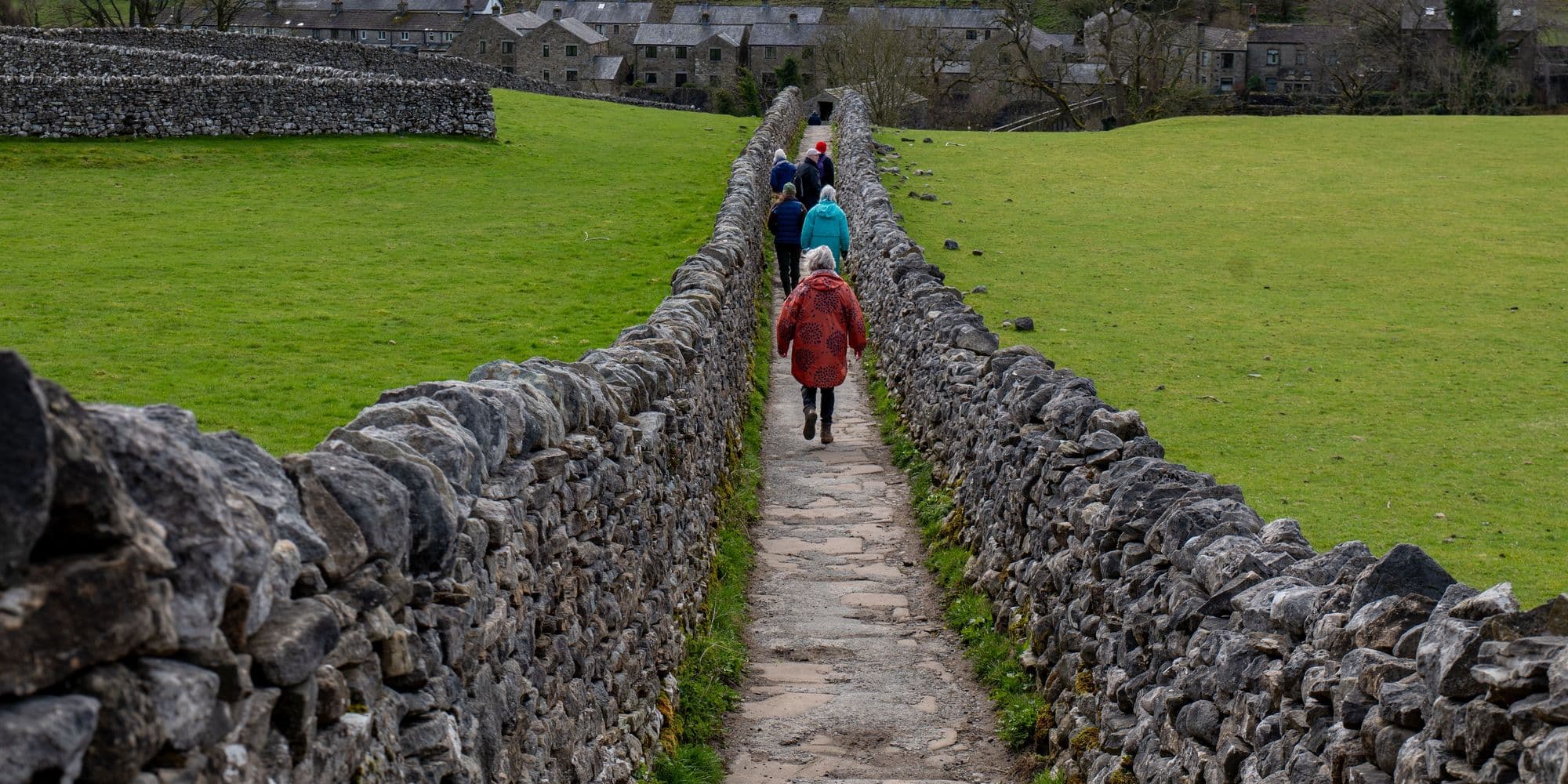 Group of walkers on a walled lane between green fields in the Yorkshire Dales