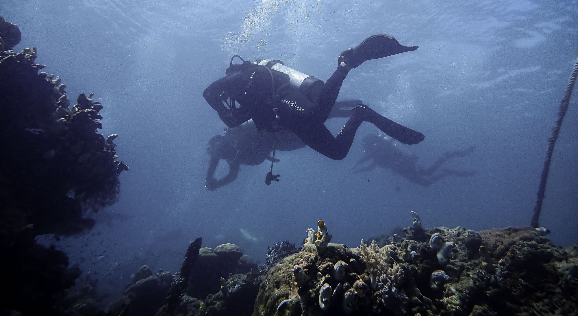 Group of scuba divers swimming together above a coral reef