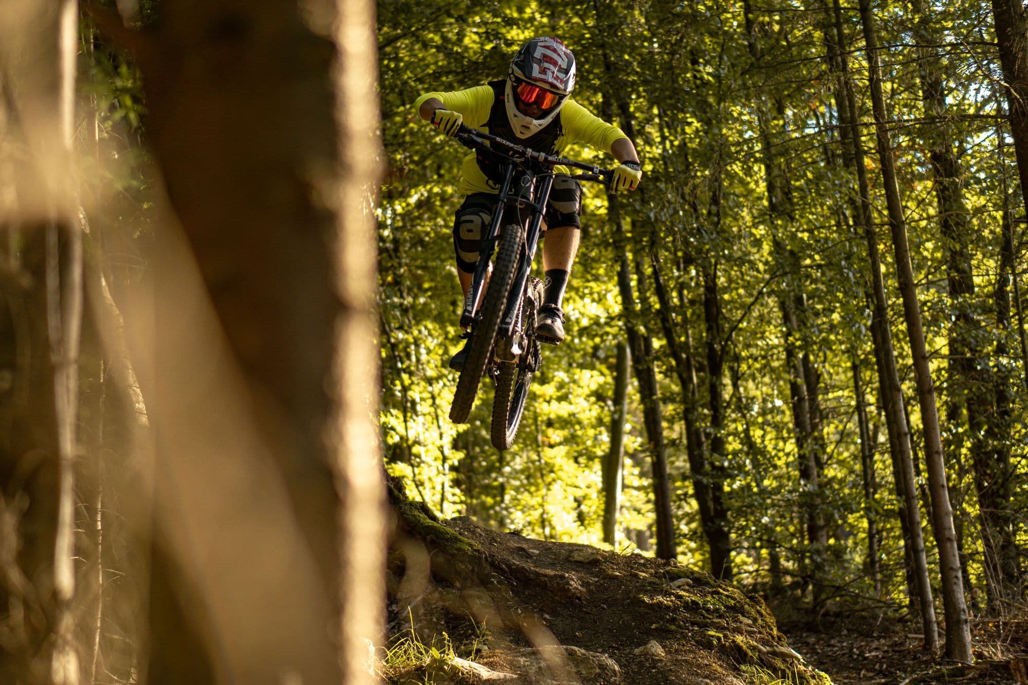 A mountain biker in a full-face helmet dropping off a root on a sunlit forest trail