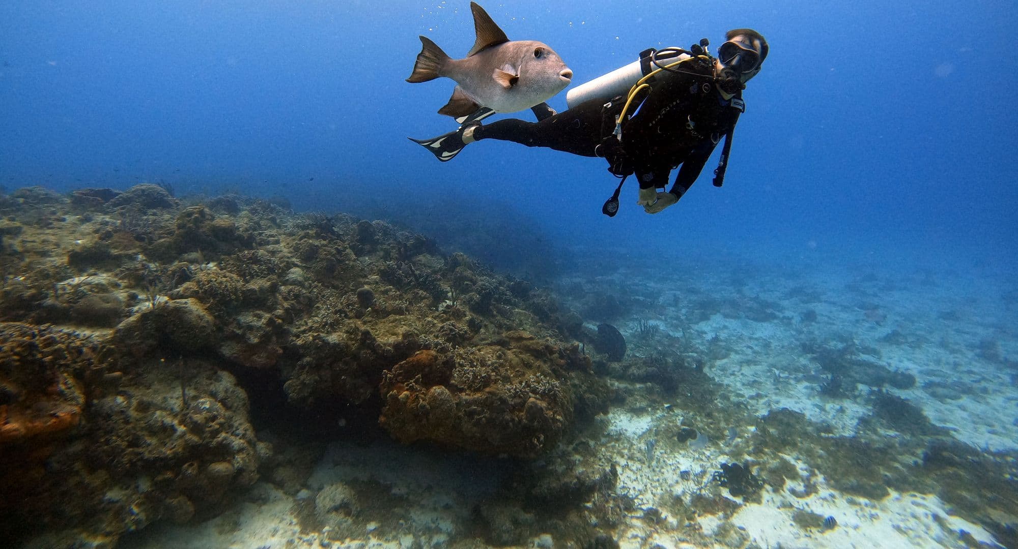 Scuba diver swimming with a fish in bright blue water