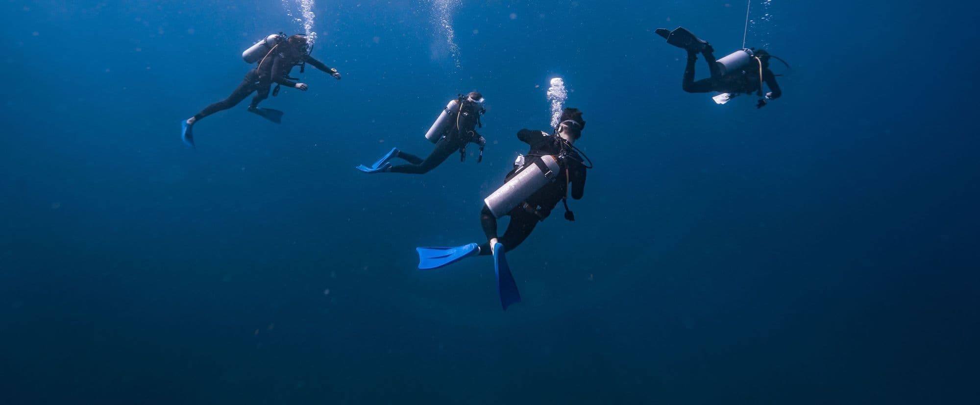 Group of scuba divers descending together beside a shotline